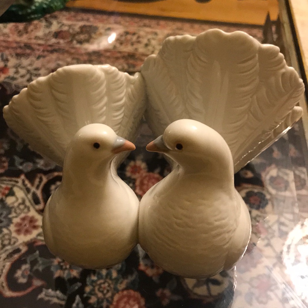 Pigeons